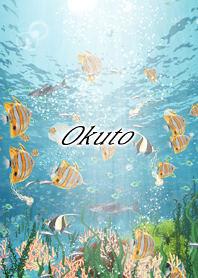Okuto Coral & tropical fish