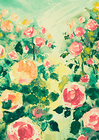 Beautiful rose flower(R4268)