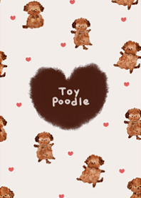 cute love toy poodle14.