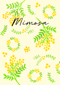 mimosa 1