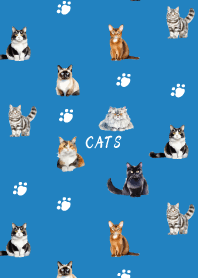 cat festival on blue