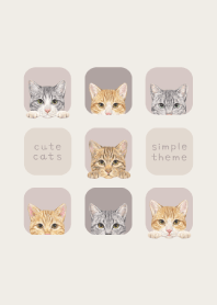 CATS - Mixed breed cat 03 - BROWN GRAY