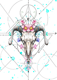 植物-生命的幾何學