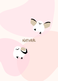 Long-tailed tit dancing23 from Japan