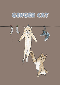 gingercat3 - brown
