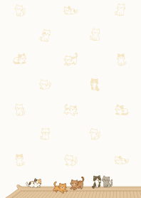 แมวเล่นอยู่บนหลังคา5