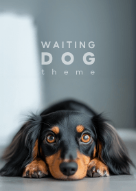 WAITING DOG - ダックスフント L 01/BT -