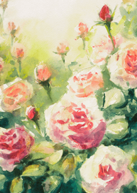 Beautiful rose flower(R4623)