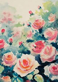 Beautiful rose flower(R4470)