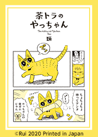 Tea tabby cat Yachan Vol.2