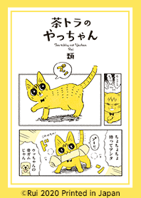 茶トラのやっちゃん Vol.2