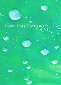 Polka Dots Photo#3-2Not AI