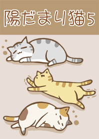 sunny spot cats 5