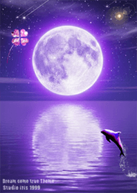 Lucky Moon and Dolphin1