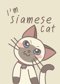 I'm Siamese Cat