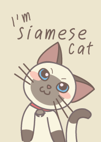 เจ้าแมวหน้าดั๊มดำ