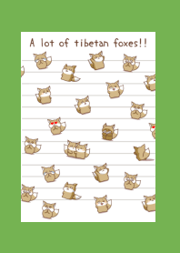 A lot of tibetan foxes notej-GREEN-YL