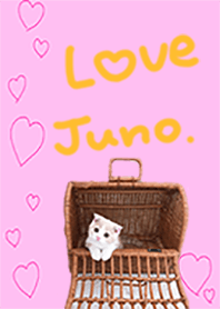 Juno.