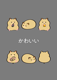 My golden rat-brown bear(fog gray)