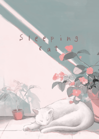 Sleeping white cat - morning