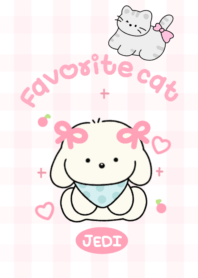 Jedi : Favorite cat