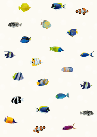 I love tropical fish10