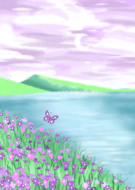 purple flower field.