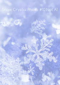 Snow Crystal Photo #10-20Not AI