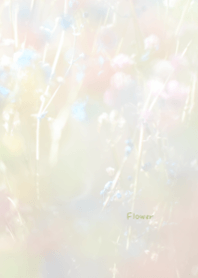 Flower Theme 29