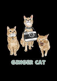 gingercat2 / black