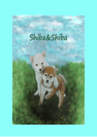 Shiba&Shiba