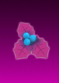 Hiiragi Purple Pink @ Winter Feature