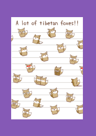 A lot of tibetan foxes note/PURPLE/YL
