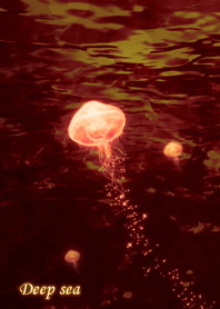 Deep sea [beautiful jellyfish]!!