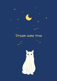 月の流星（白猫）