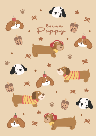 Dachshund and friends puppy lover.