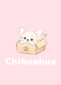 Sketch Chihuahua Pink 05