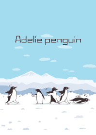 Adelie penguin!