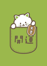 Lucy Cat in Pocket / GreenTea color ver.