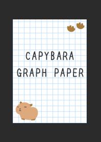 CAPYBARA GRAPH PAPER-CHARCOAL GREY