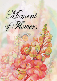 Moment of flowers