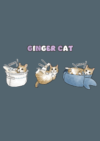 gingercat5 / dark steel blue