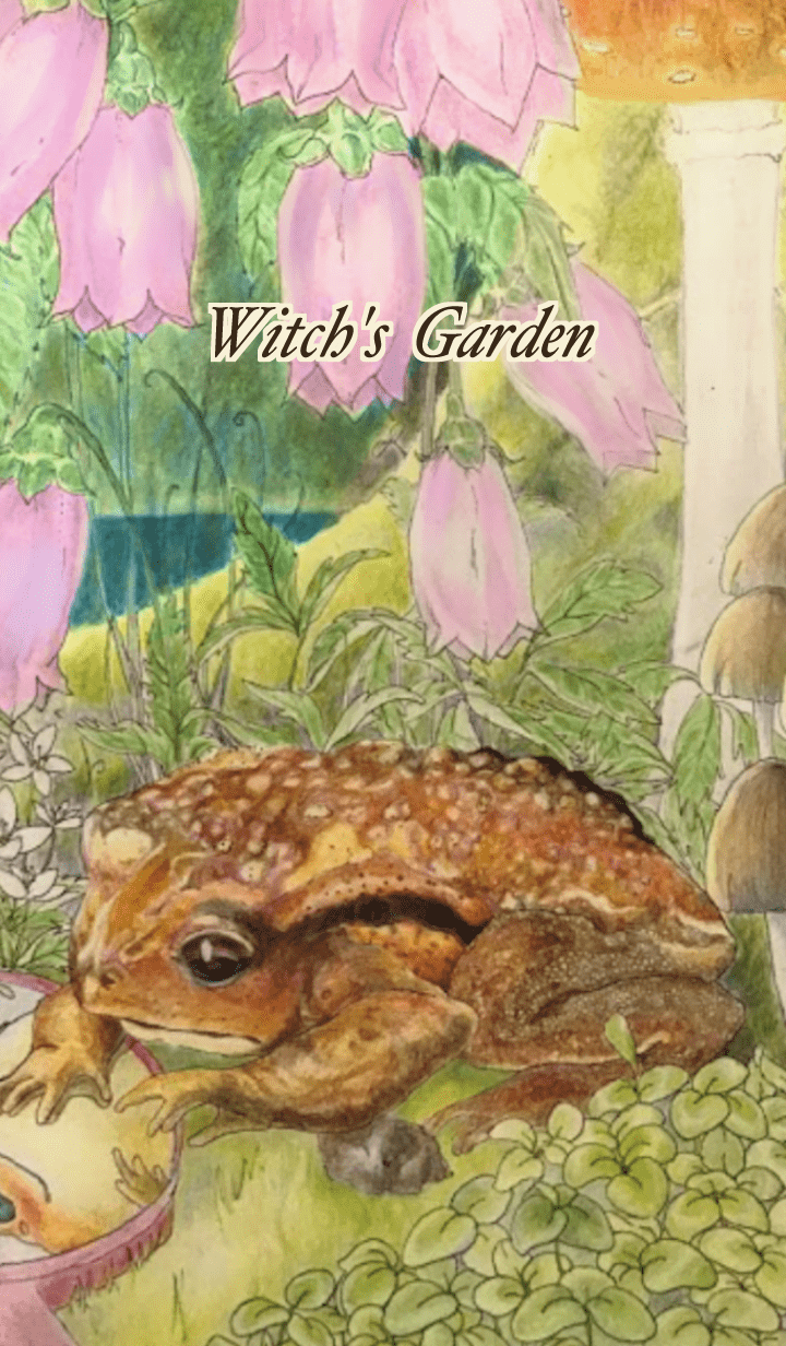 Mushroom and frog secret witch garden