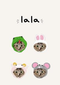 TABBY CAT:LALA revise