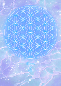 輝く海 生命の花2