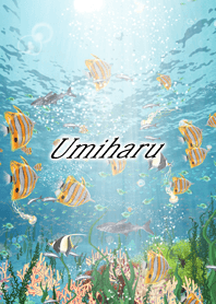 Umiharu Coral & tropical fish