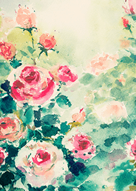 Beautiful rose flower(R4206)