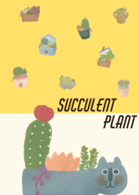 succulent plants!3