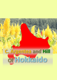 日本北海道景觀“C. argentea”