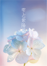 Droplets and hydrangea